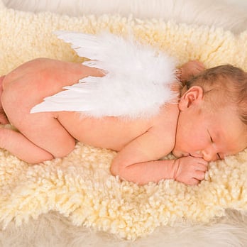 Fotostudio Manuela Palm - Babyfotos - Photographers Near Me - Blankenfelde-Mahlow, BB Fotostudio Manuela Palm - Babyfotos - Photographers Near Me - Blankenfelde-Mahlow, BB