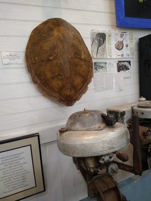 Orange Beach History Museum by null