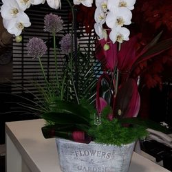 Florería Limones