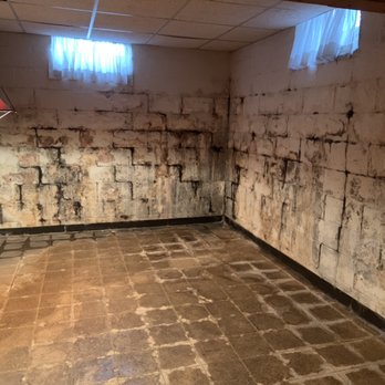 DRYCO - Holy Mold. Call DRYCO! - Damage Restoration Near Me - Clinton Township, Michigan