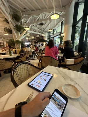 Breakfast at Antonio's by null