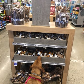 PetSmart - Rosie sampling some treats. Like a kid in a candy store! - Pet Training Near Me - East Aurora, New York PetSmart - Rosie sampling some treats. Like a kid in a candy store! - Pet Training Near Me - East Aurora, New York