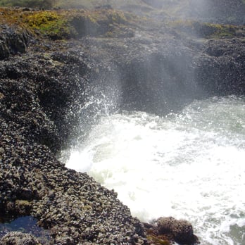 Cape Perpetua Scenic Area - Hiking Near Me - Yachats, Oregon Cape Perpetua Scenic Area - Hiking Near Me - Yachats, Oregon