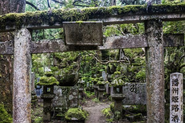 Okunoin Cemetery by null
