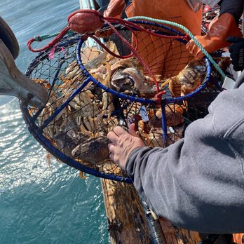 The New Sea Angler - Boating Near Me - Bodega Bay, California