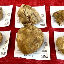Ente Fiera Nazionale del Tartufo Bianco D'alba - Beyaz trüf mantarı, orta boyların kilosu 4000 € civarında.