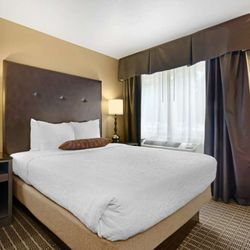 1 Queen Bed