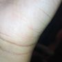 Photo of Schertz Nail