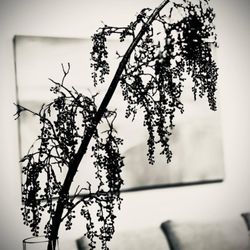 Transcend Interiors