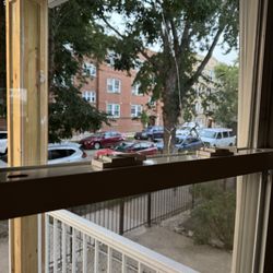 Quick Service Glass - Broken window