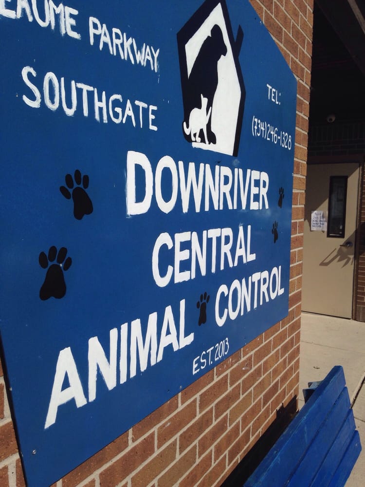 DOWNRIVER CENTRAL ANIMAL CONTROL Updated October 2024 14300 Reaume