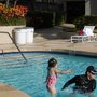 Frenchie's Swim School