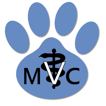 Marquette Veterinary Clinic - Veterinarians Near Me - Marquette, Michigan Marquette Veterinary Clinic - Veterinarians Near Me - Marquette, Michigan