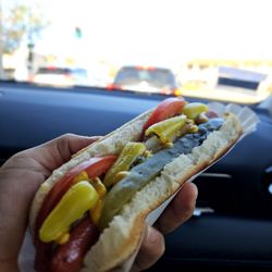 Daddy's Hot Dogs - The Chicago Dog