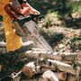 Photo of Tree Pro