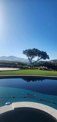 Tree service for view clearing - Imagine a serene property with a beautiful view obscured by several large trees.