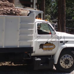 Bear Valley Tree Care
