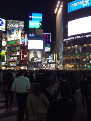 Shibuya Scramble Crossing by null