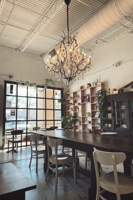 Blkdog Coffee by null