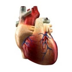 Heart Link