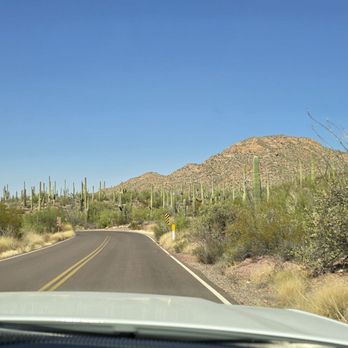 Saguaro National Park - Parks Near Me - Tucson, Arizona Saguaro National Park - Parks Near Me - Tucson, Arizona