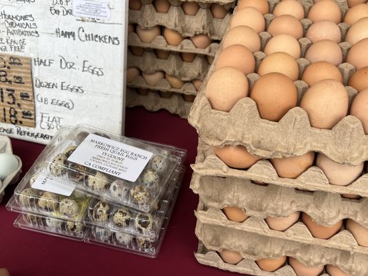 Orange County Great Park Farmers Market by null