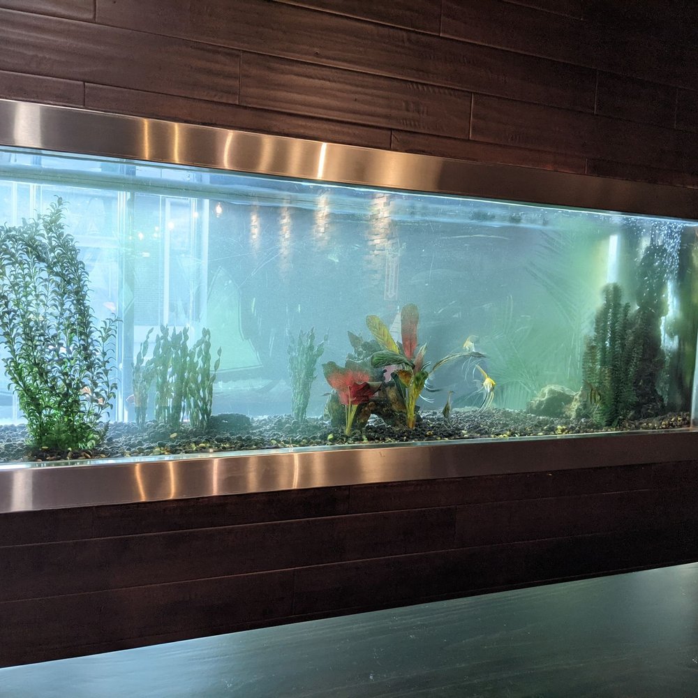 Moho Mexican Grill - Mexican Near Me - Bayside, New York Moho Mexican Grill - Mexican Near Me - Bayside, New York