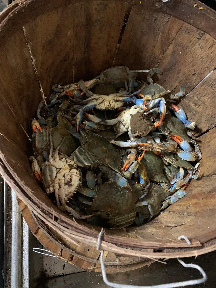 Buckroe Bait & Tackle & Seafood, Hampton Roadtrippers