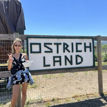 Ostrichland USA - Attraction Farms Near Me - Solvang, California Ostrichland USA - Attraction Farms Near Me - Solvang, California