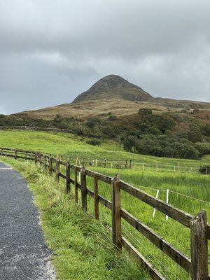 Connemara National Park by null