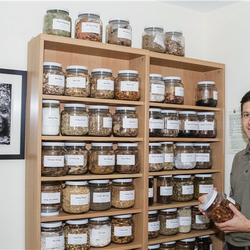 Well Point - Chinese herbs
