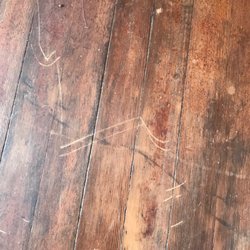 A-1 Moving Company - Fir flooring
