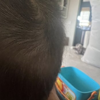 Sharkey's Cuts for Kids - Kids Hair Salons Near Me - Oceanside, California