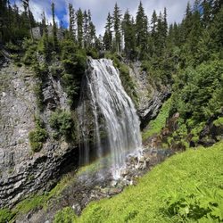Narada Falls - The bigger picture of your surroundings.