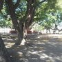 Photo of Plaza General Juan Lavalle