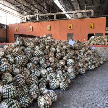 Tequila Orendain de Jalisco - Distilleries Near Me - Tequila, JAL