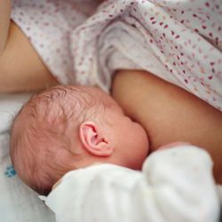 The Lactation Nurse