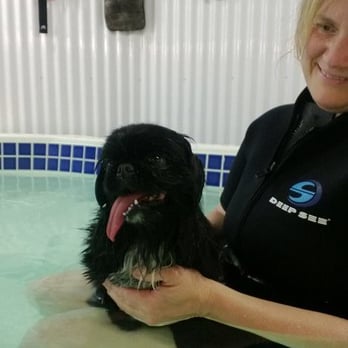 SplashDog Canine Well-Being Center - Sherman at his first session! - Pet Services Near Me - Edmonds, Washington SplashDog Canine Well-Being Center - Sherman at his first session! - Pet Services Near Me - Edmonds, Washington