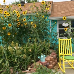Rachel's Hair Studio - Rachel's Hair Studio in downtown Erie in bloom with sunflowers this summer!