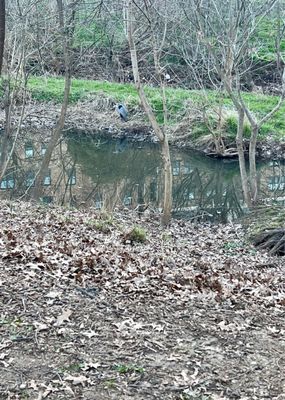 Little Sugar Creek Greenway by null