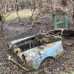 MacKay Wildlife Preserve - The MacKay Car