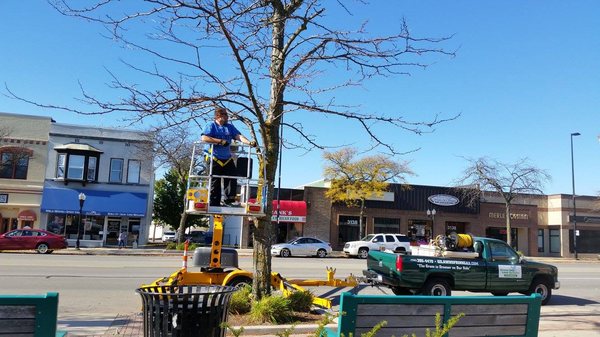 GROSSE ILE LAWN SPRINKLER & FERTILIZING Updated October 2024 74