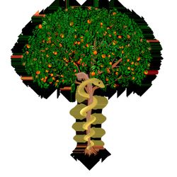 Peachtree Family Medicine and Weight Loss
