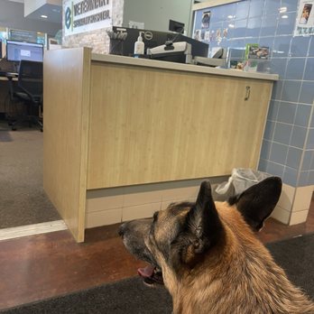 Veterinary Specialty Hospital - Sorrento Valley - One of many waiting areas - Veterinarians Near Me - Valley, California Veterinary Specialty Hospital - Sorrento Valley - One of many waiting areas - Veterinarians Near Me - Valley, California