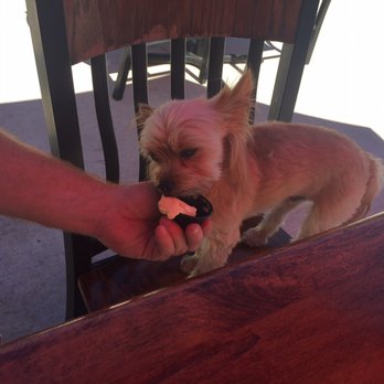 Pouring Glory - This place was really good. And dog friendly. - Beer Bar Near Me - Fort Worth, Texas