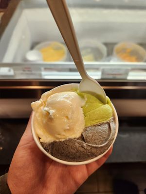 Marco Polo Italian Ice Cream Inc. by null