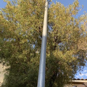 Nevada Tree Service - Who puts trees like this between houses and next to a lamp pole, always trimming. - Tree Services Near Me - Las Vegas, Nevada Nevada Tree Service - Who puts trees like this between houses and next to a lamp pole, always trimming. - Tree Services Near Me - Las Vegas, Nevada