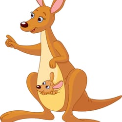 Ms Alison's Kangaroo Preschool - Ms. Alison's Kangaroo Preschool