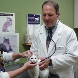 Northern Valley Animal Clinic - Wellness exam being performed by DVM