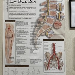 Redwood Orthopaedic Surgery Associates - The dreaded back pain ugh